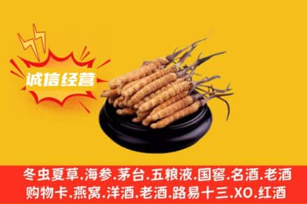 宝鸡市回收冬虫夏草